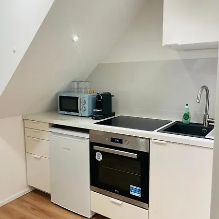 Hd-appartment Mit Neckar- Und Schlossblick * Heidelberg